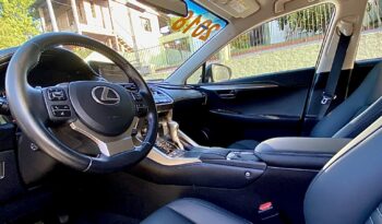 LEXUS NX 300 2018 completo