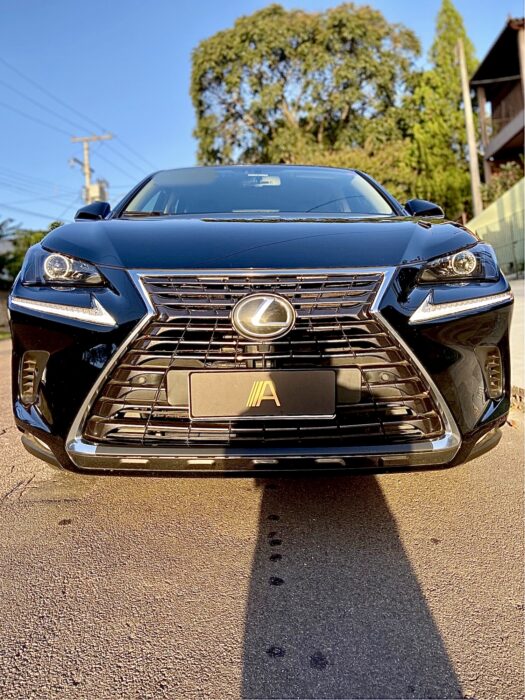 LEXUS NX 300 2018 completo