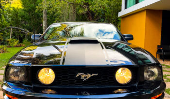 FORD Mustang 2009 completo