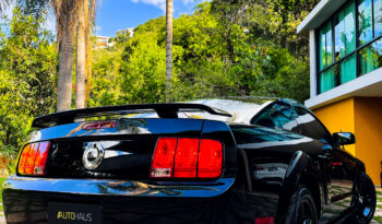 FORD Mustang 2009 completo