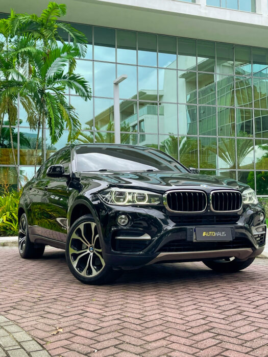 BMW X6 2016 completo