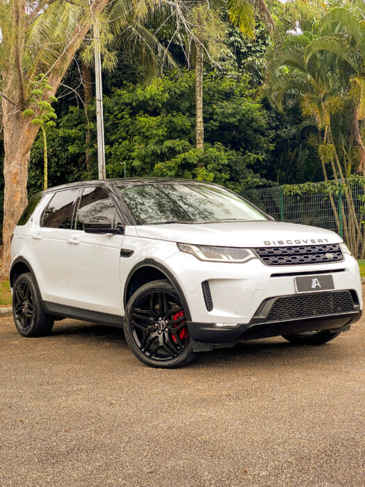 LAND ROVER DISCOVERY 2020 completo