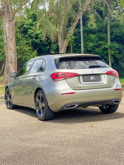MERCEDES-BENZ A 250 2019 completo