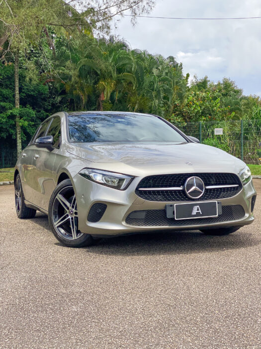 MERCEDES-BENZ A 250 2019 completo