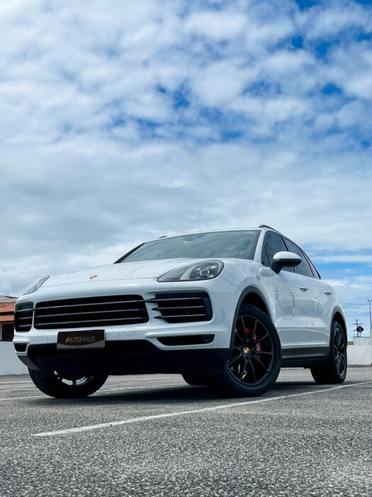 PORSCHE CAYENNE 2019 completo