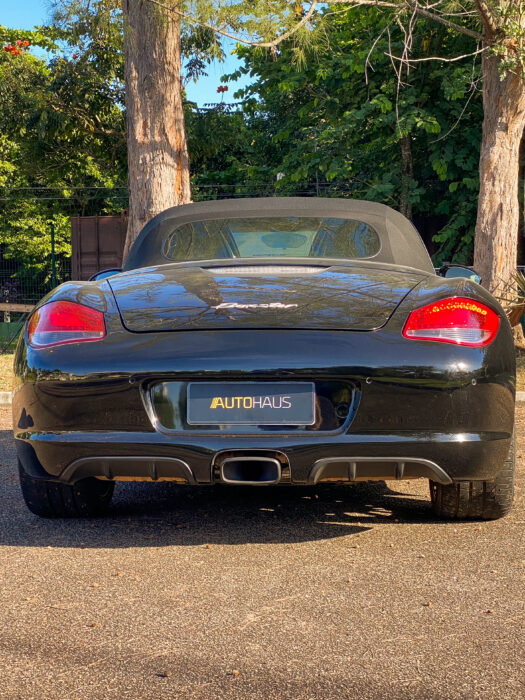 PORSCHE BOXSTER 2011 completo