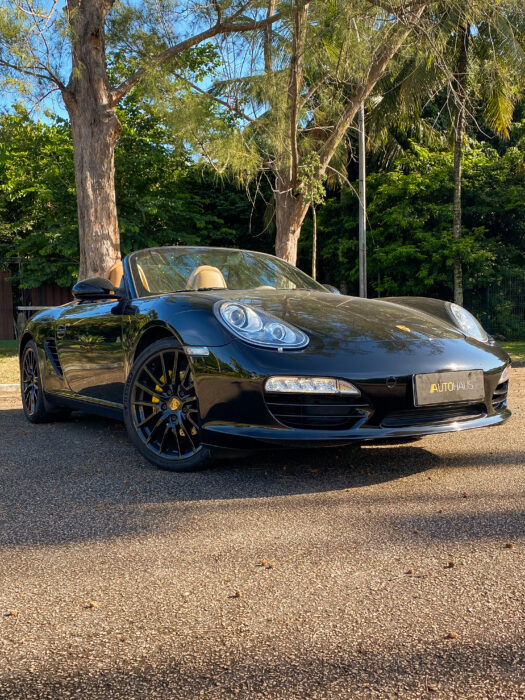 PORSCHE BOXSTER 2011 completo
