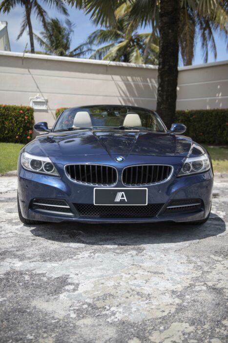 BMW Z4 2015 completo