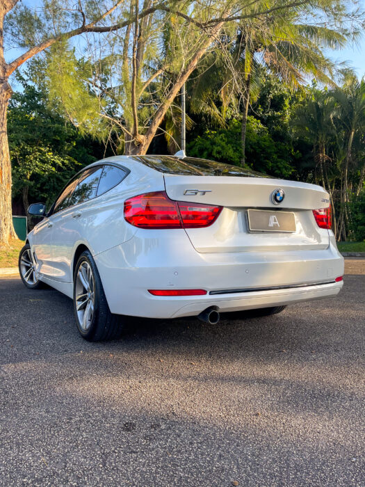BMW 320i 2015 completo