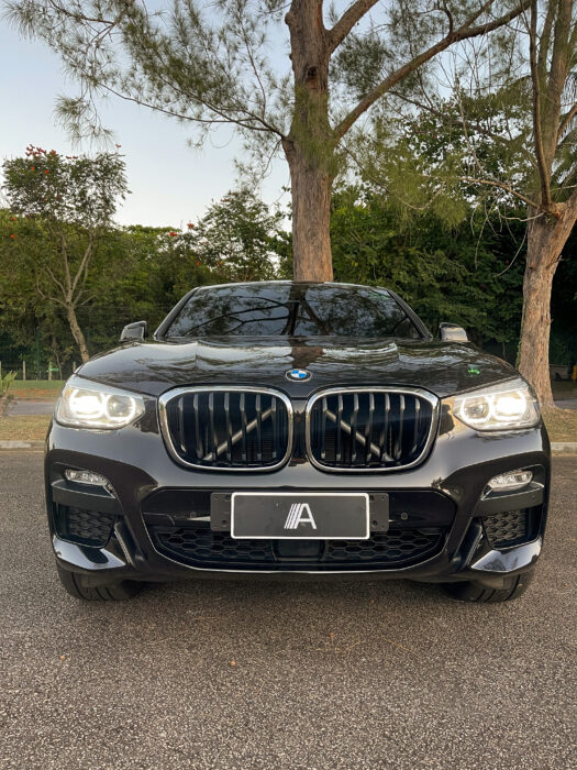 BMW X4 2020 completo