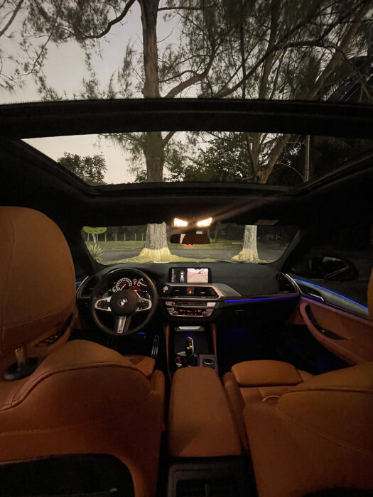 BMW X4 2020 completo