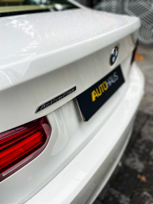 BMW 320 i 2018 completo