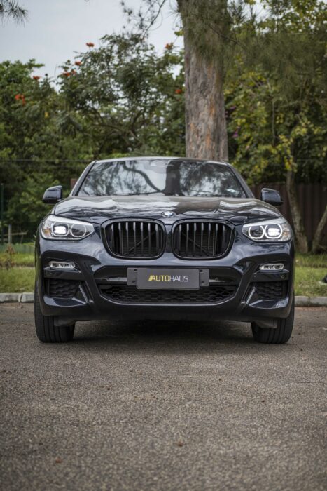 BMW X4 2019 completo