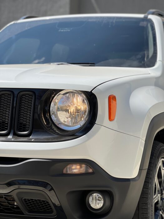 JEEP RENEGADE 2018 completo