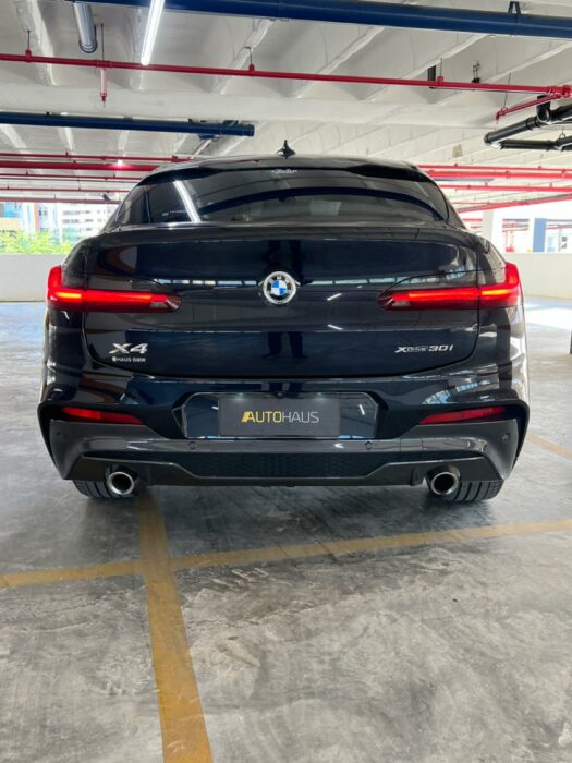 BMW X4 2019 completo