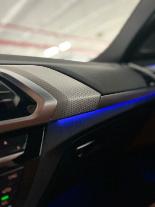 BMW X4 2019 completo