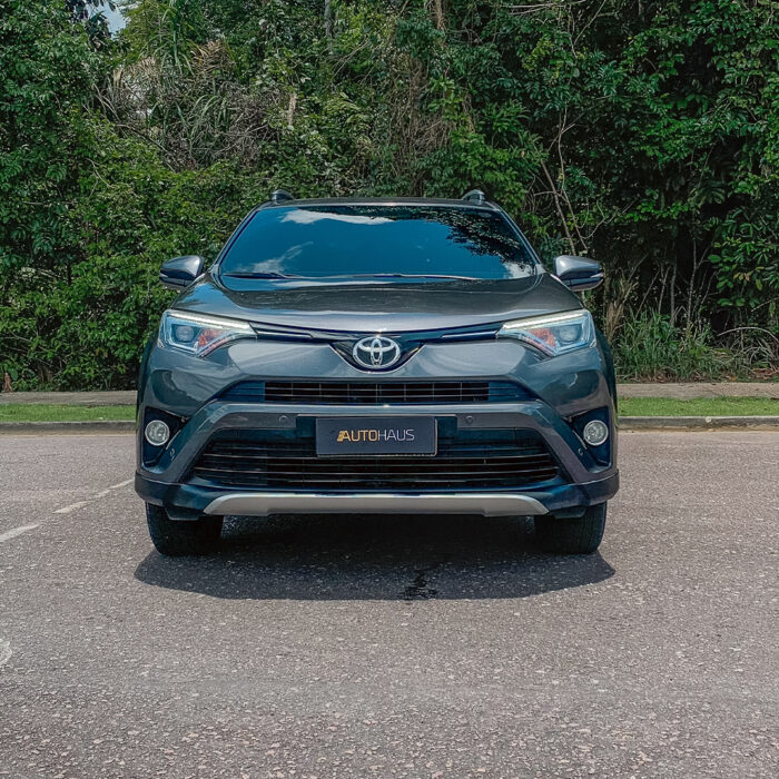 TOYOTA RAV4 2019 completo