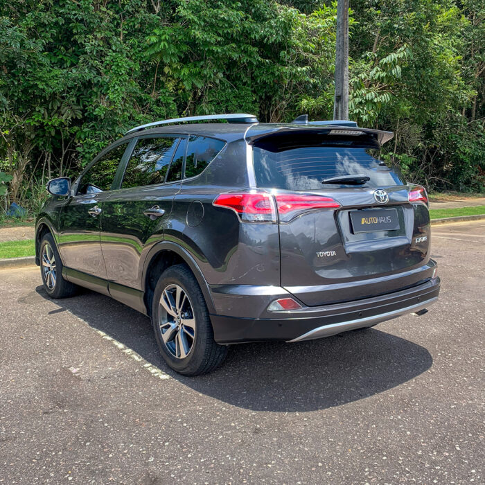 TOYOTA RAV4 2019 completo