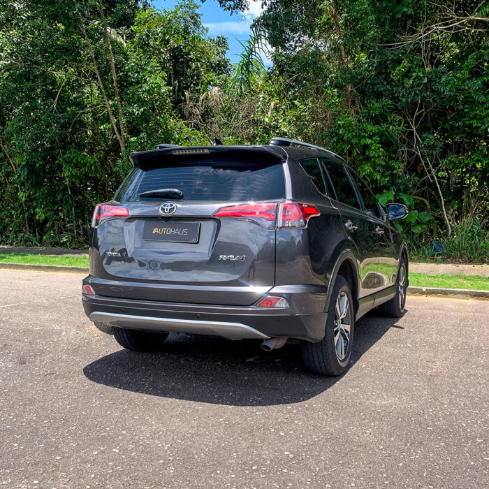 TOYOTA RAV4 2019 completo