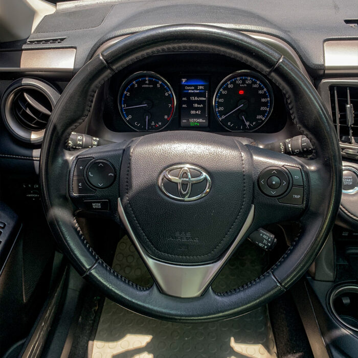 TOYOTA RAV4 2019 completo