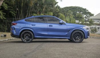 BMW X6 2020 completo