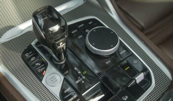 BMW X6 2020 completo