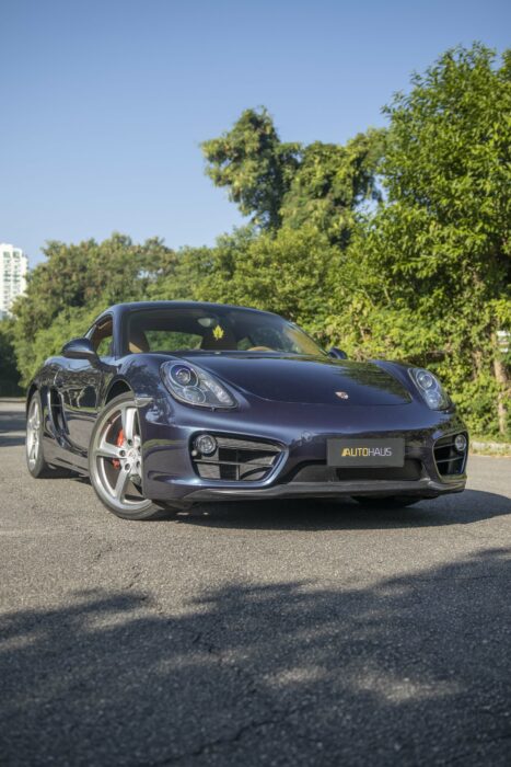 PORSCHE CAYMAN 2014 completo