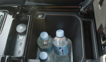 LAND ROVER DISCOVERY 2020 completo