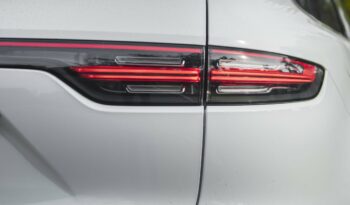 PORSCHE CAYENNE 2020 completo