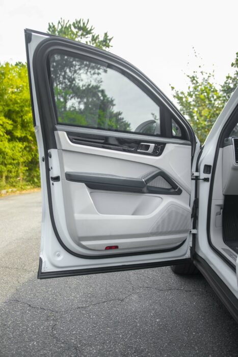 PORSCHE CAYENNE 2020 completo