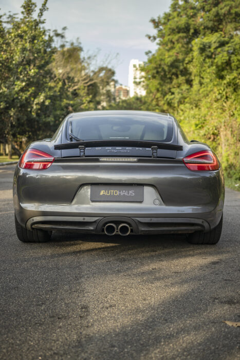 PORSCHE CAYMAN 2014 completo