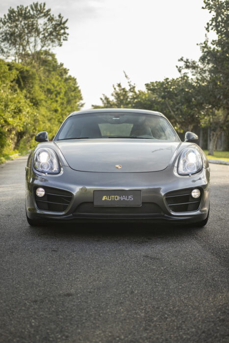 PORSCHE CAYMAN 2014 completo