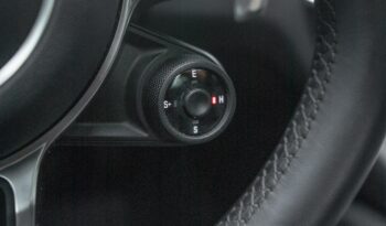 PORSCHE CAYENNE 2021 completo