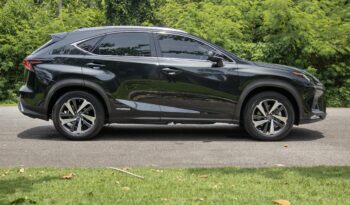 LEXUS NX 300h 2021 completo