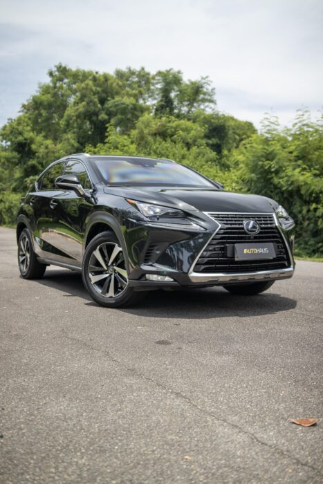 LEXUS NX 300h 2021 completo