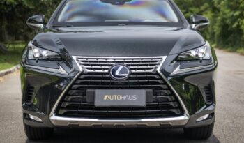 LEXUS NX 300h 2021 completo