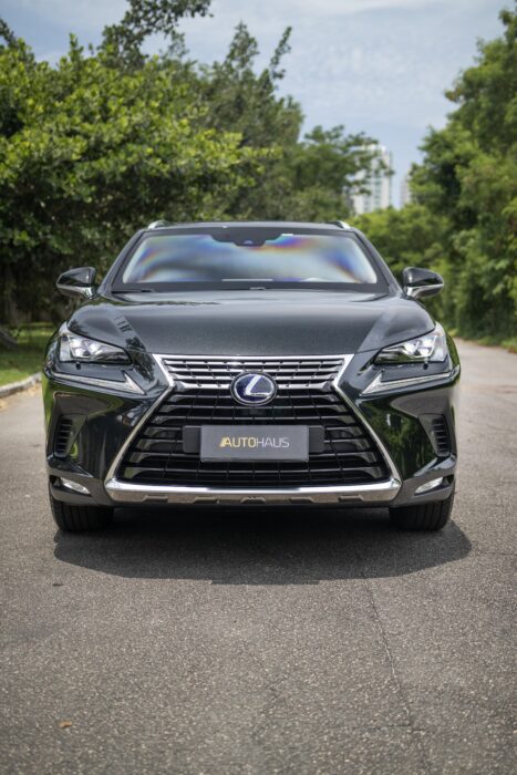 LEXUS NX 300h 2021 completo