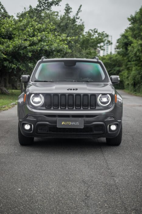 JEEP RENEGADE 2016 completo