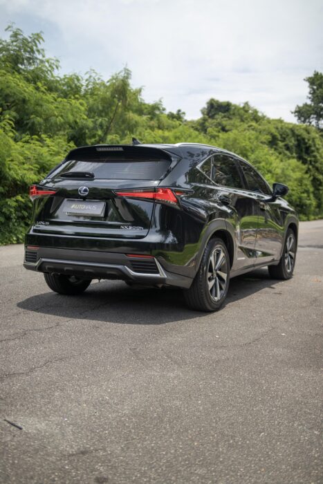 LEXUS NX 300h 2021 completo