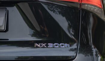 LEXUS NX 300h 2021 completo