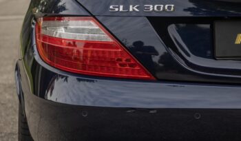 MERCEDES-BENZ SLK 300 2016 completo