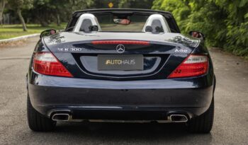 MERCEDES-BENZ SLK 300 2016 completo